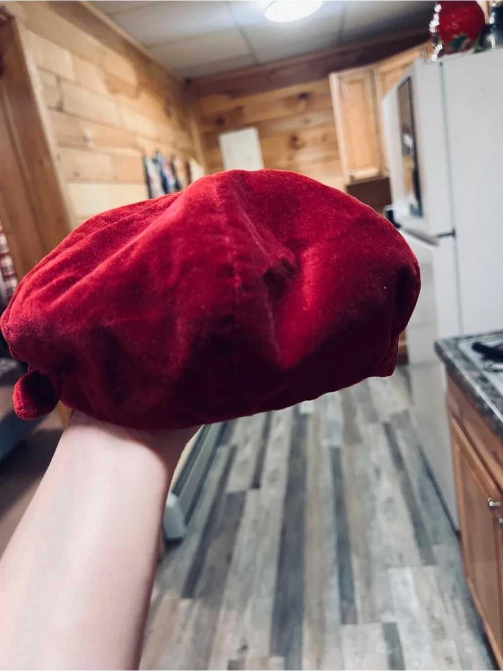 Gymboree Burgundy Satin-Lined Hat